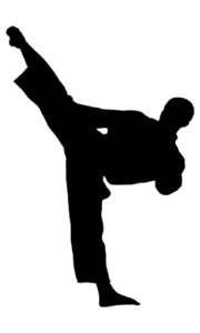 Bright International School: Taekwondo Achievements