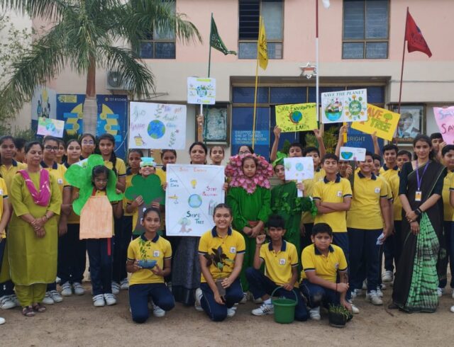 Bright Activity 1