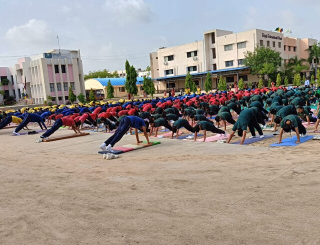 Bright Activity 2