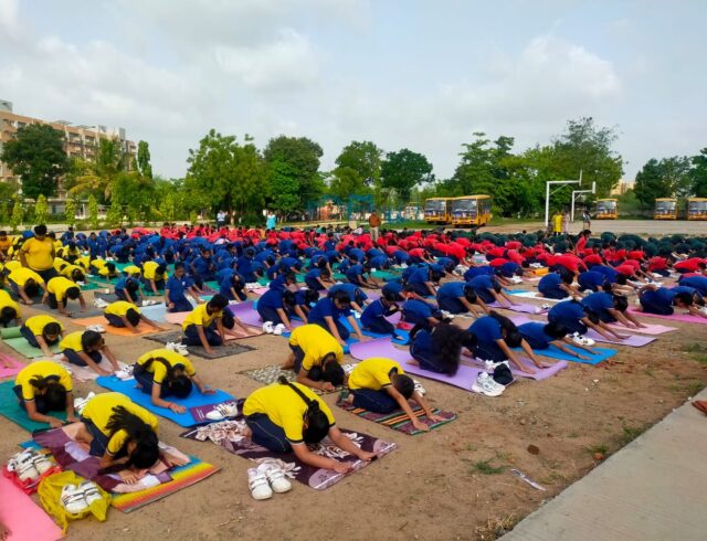 Bright Activity 3