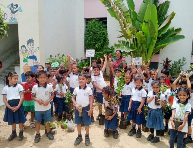 tree plantation at school